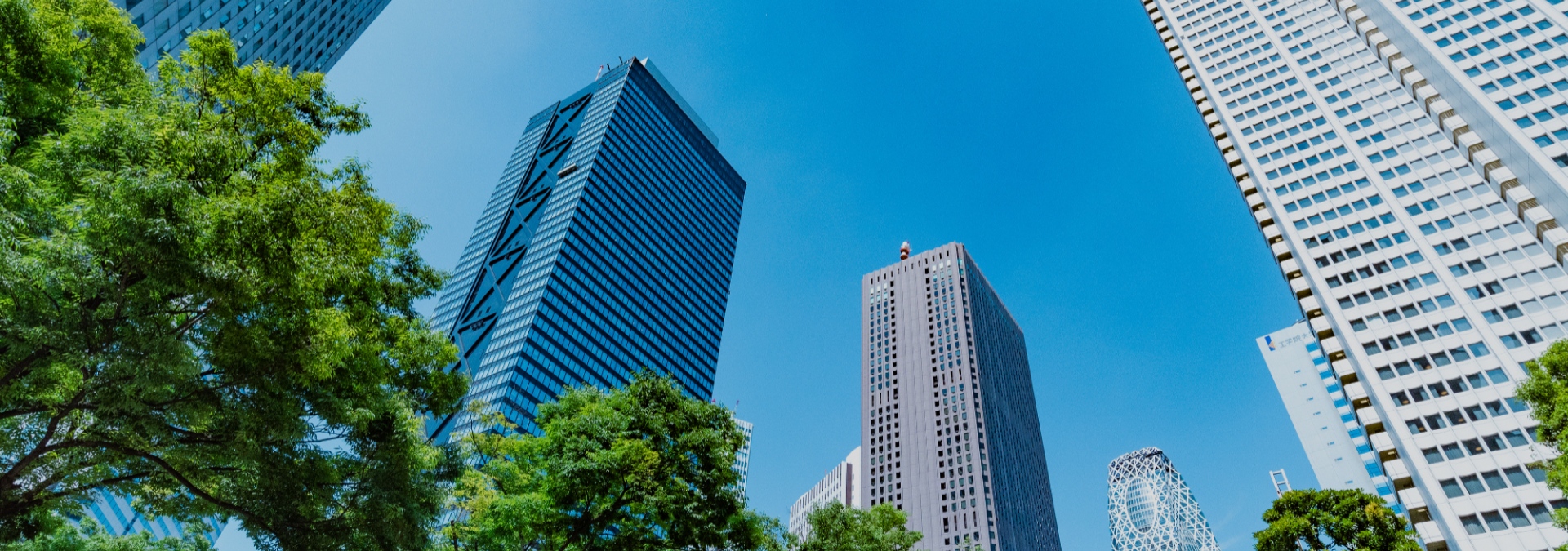 都市更新